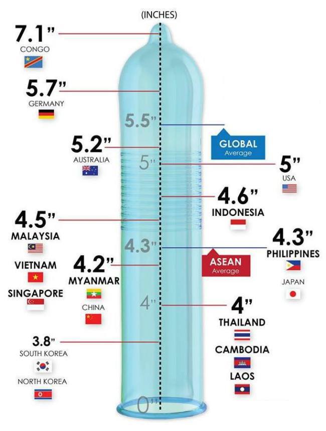 한국 평균 성기 크기 대해서