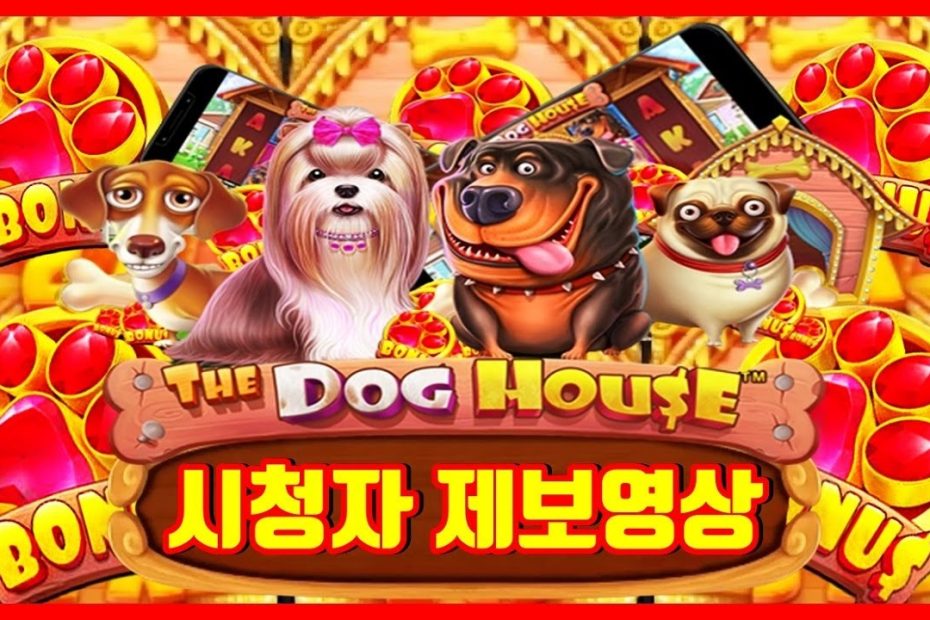슬롯머신] 더 도그 하우스 : The Dog House - 초반부터 곱하기 붙은 개집이 쌓이면 푸근합니다. (시청자 제보영상) -  Youtube