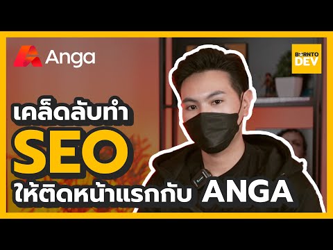 วิธีการทำ SEO ให้ติดหน้าแรกของ Google กับ ANGA