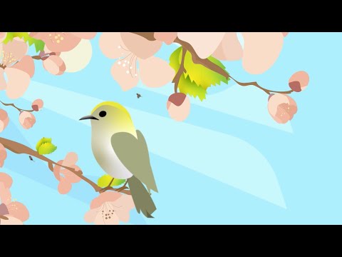 Bird Survey | Natural Nations