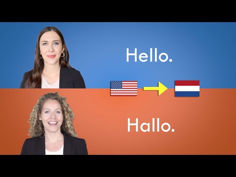Dutch Conversation for Beginners | 40 Dutch Phrases to Know